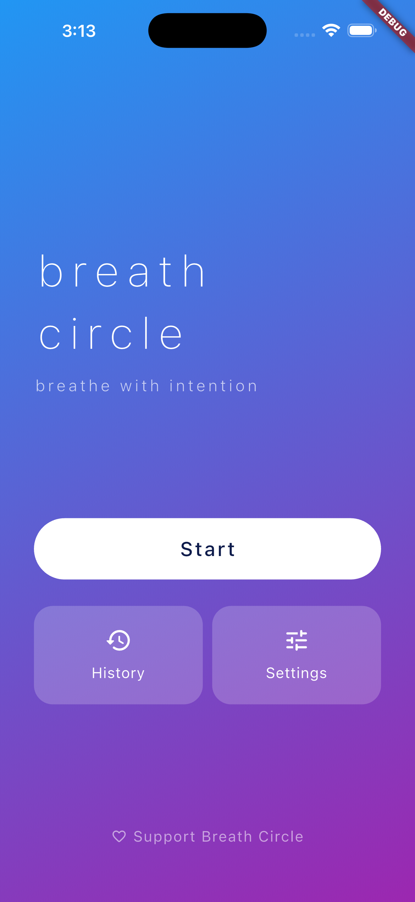Home screen